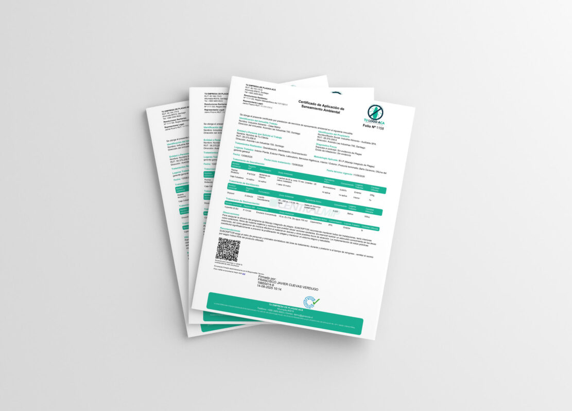 certificado central mip